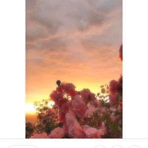 Meet your Posher, Emma and naomi💘🌊